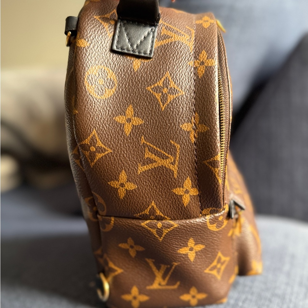 Louis Vuitton Monogram Mini Palm Spring Backpack - Picture 5 of 16